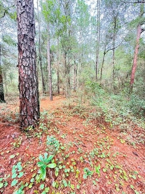 Land at 000 SW 10TH PL, OCALA, photo 5 of 5
