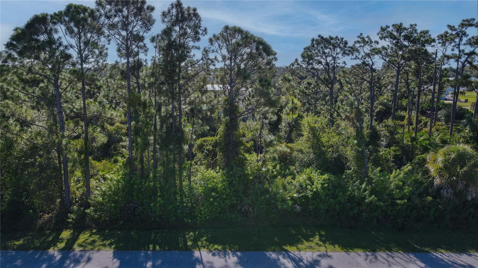 Land at 12495 STEEN TER, PORT CHARLOTTE, photo 5 of 8