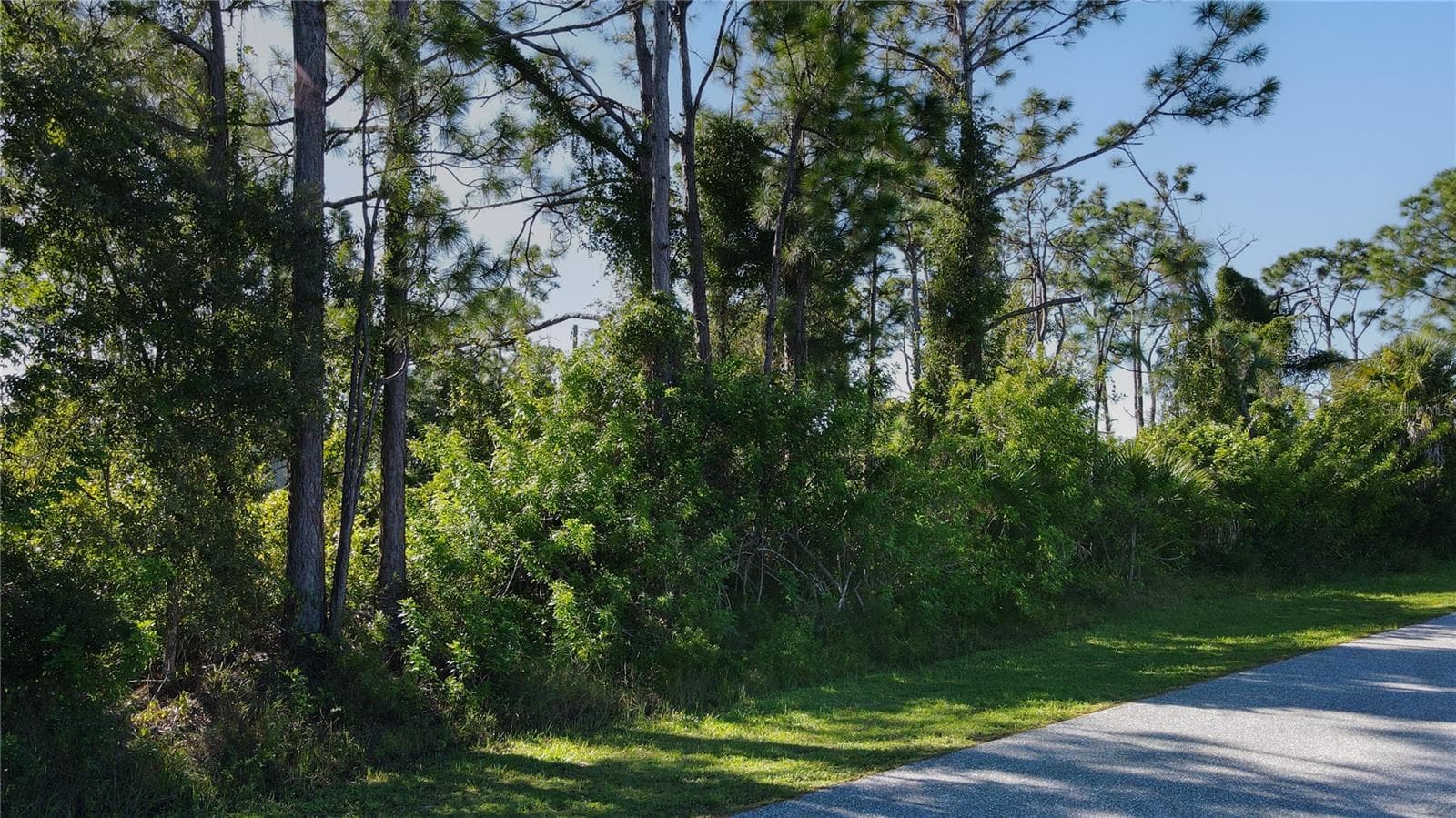 Land at 12495 STEEN TER, PORT CHARLOTTE, photo 6 of 8