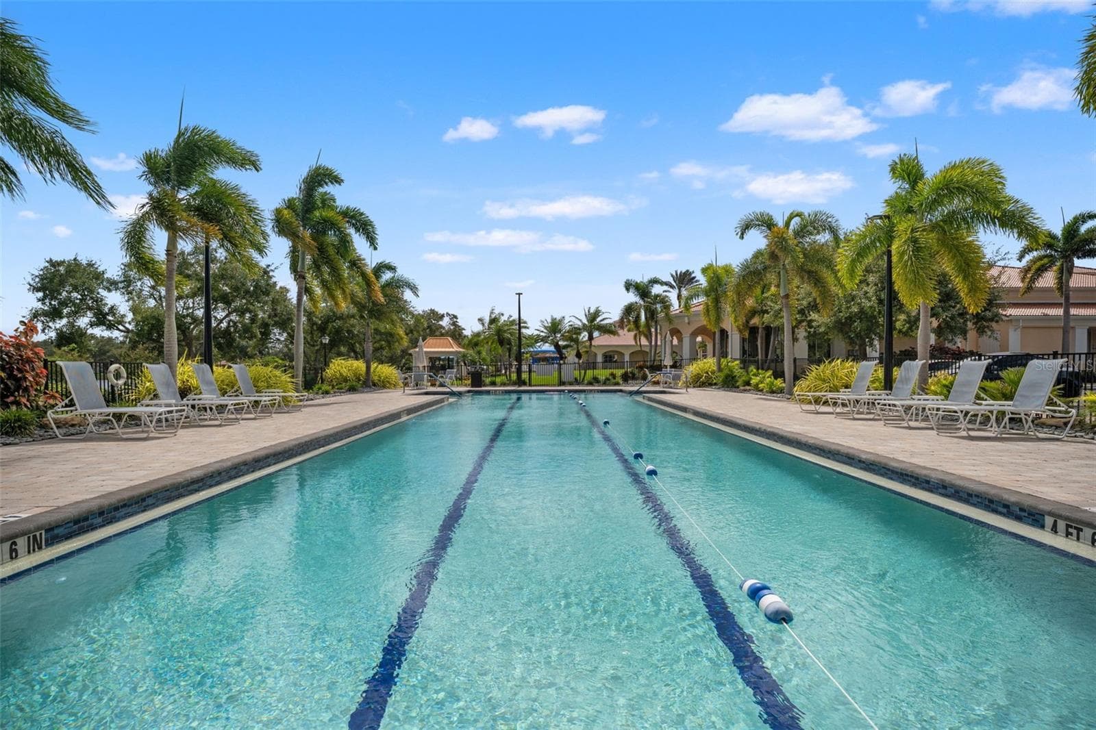Lap pool - 5389 CAMBIAGO ST, SARASOTA