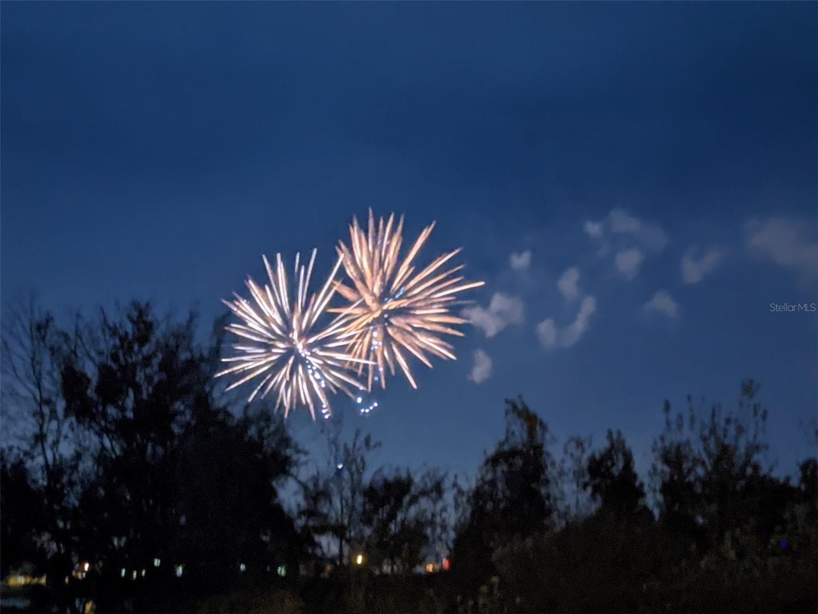 See the Disney fireworks this home is so close! - 5522 NEW INDEPENDENCE PKWY, WINTER GARDEN