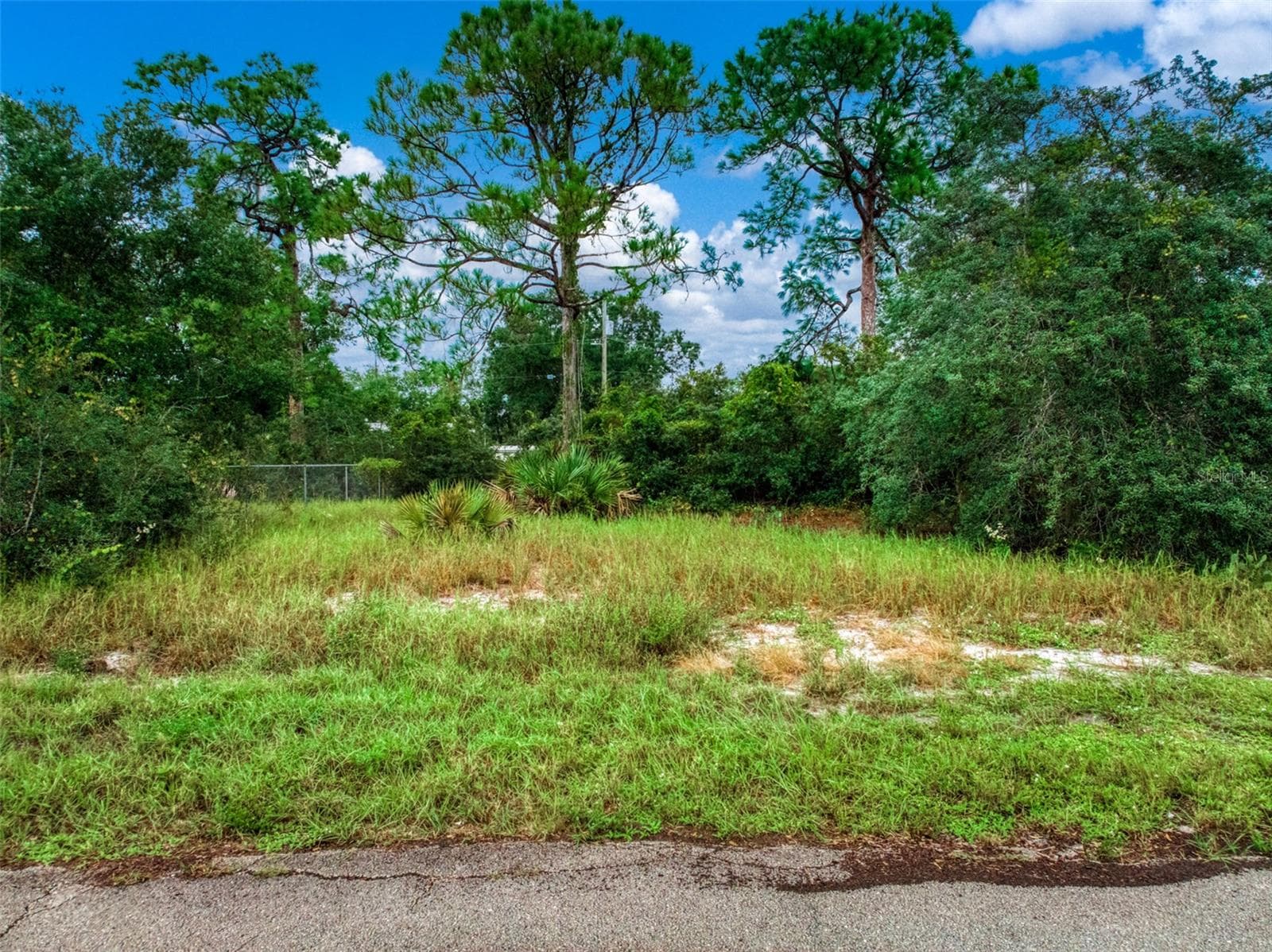 Land at 3065 OLEANDER DR, LAKE PLACID, photo 14 of 16