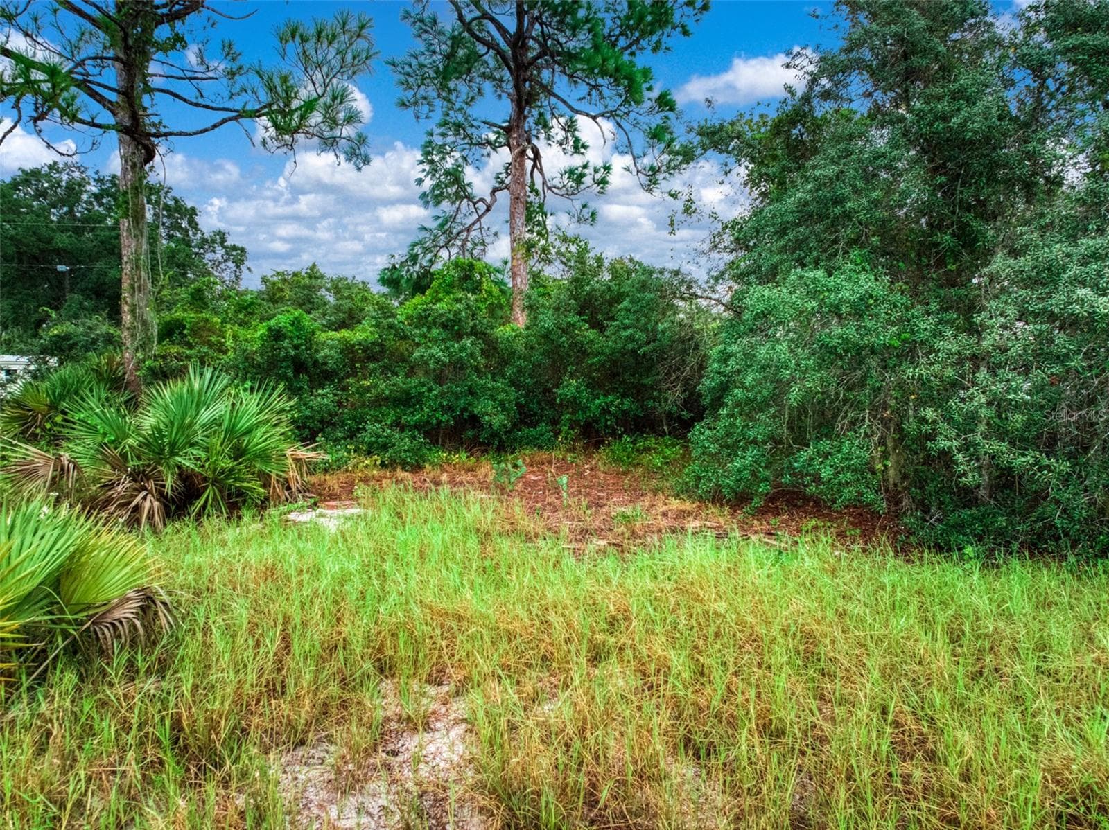 Land at 3065 OLEANDER DR, LAKE PLACID, photo 15 of 16
