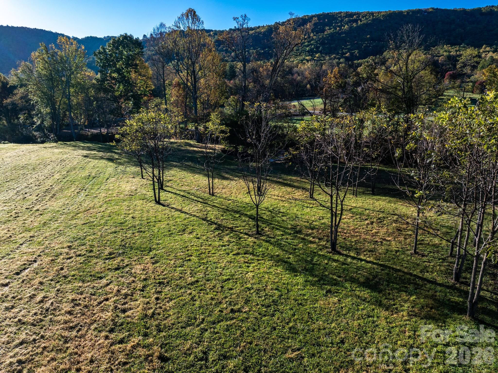 Lot at 00 Walnut Valley Lane, Hendersonville, photo 6 of 23