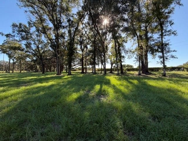 Land at TBD NW 80TH AVE, OCALA, photo 2 of 10