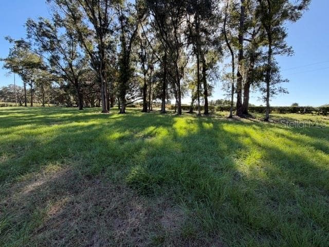 Land at TBD NW 80TH AVE, OCALA, photo 3 of 10
