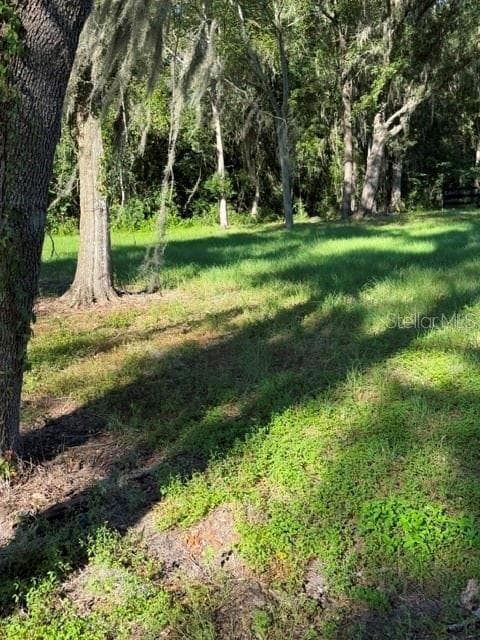 Land at TBD NW 80TH AVE, OCALA, photo 5 of 10