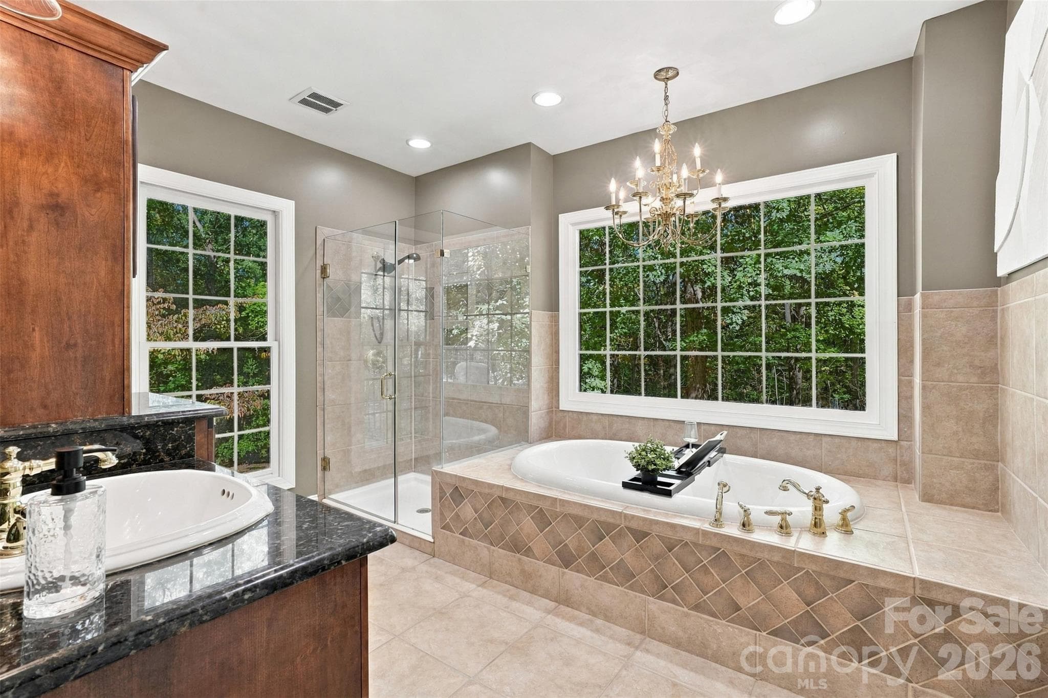 Primary en suite - 380 Laurel Hill Road, Indian Land