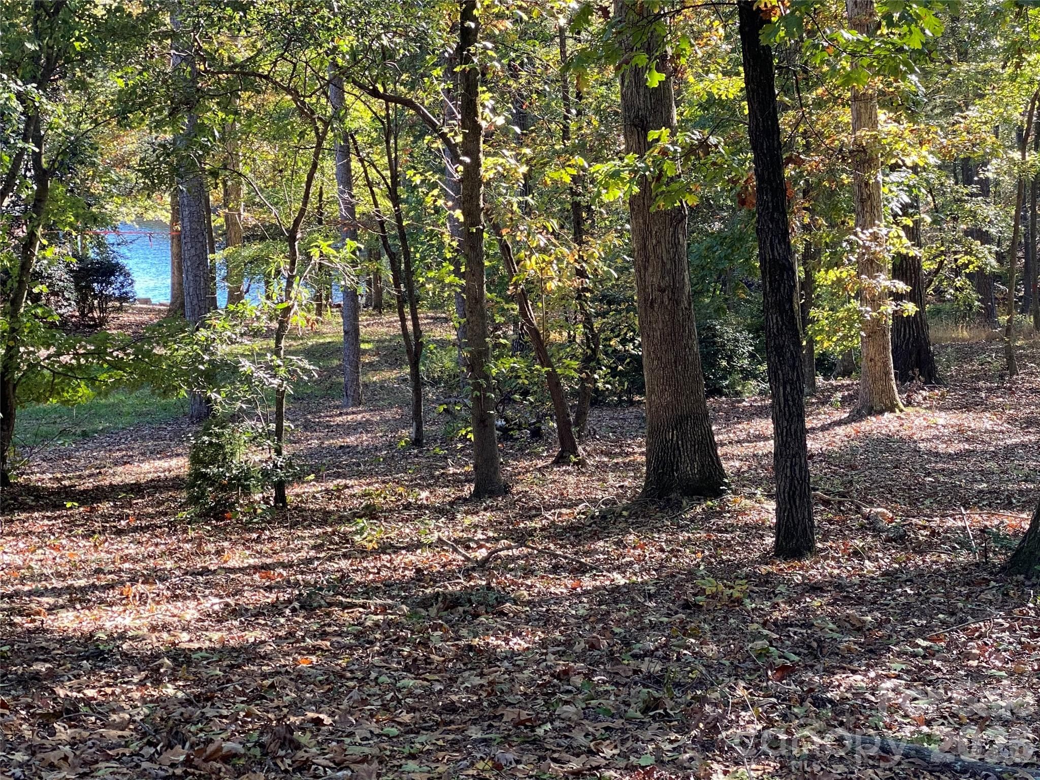 Seasonal Lake View - 116 Long Cove None, New London