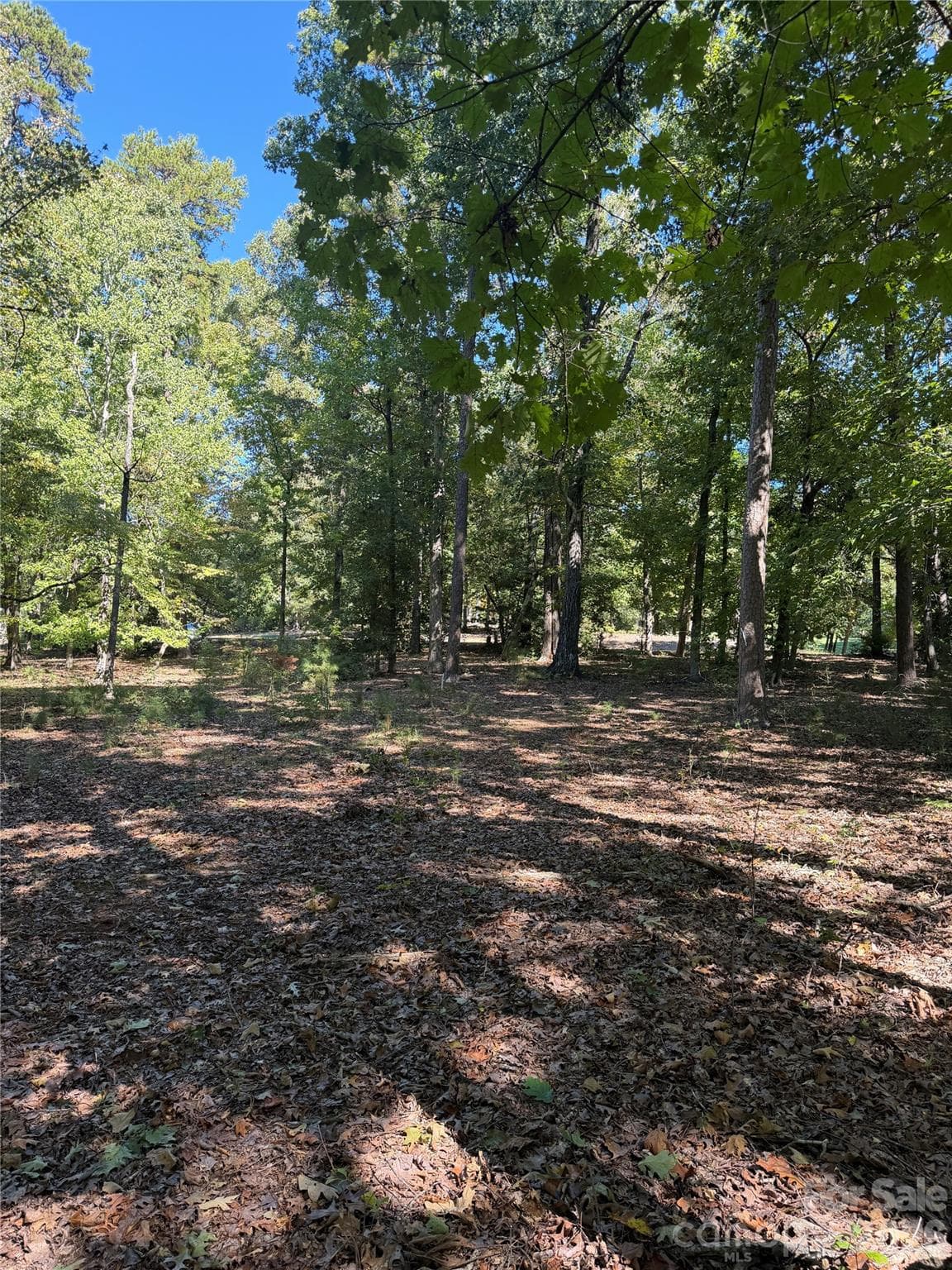View of Lot - 116 Long Cove None, New London