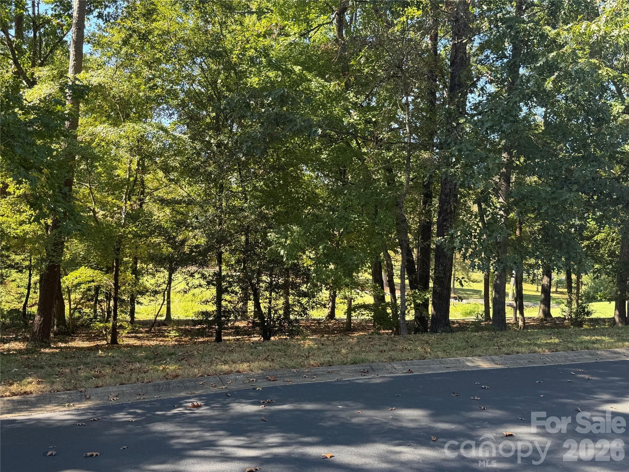 View of Lot from Street - 116 Long Cove None, New London