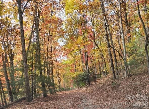 beautiful fall driveway - 189 Breckenridge Trail, Brevard