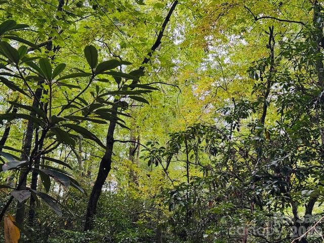 Acreage at 9999 Old Little Mountain Road, Pisgah Forest, photo 6 of 9