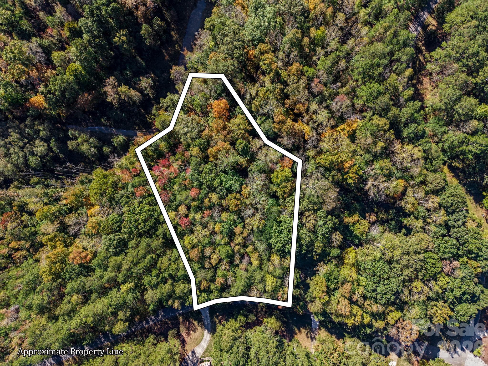 000 Conifer Way
