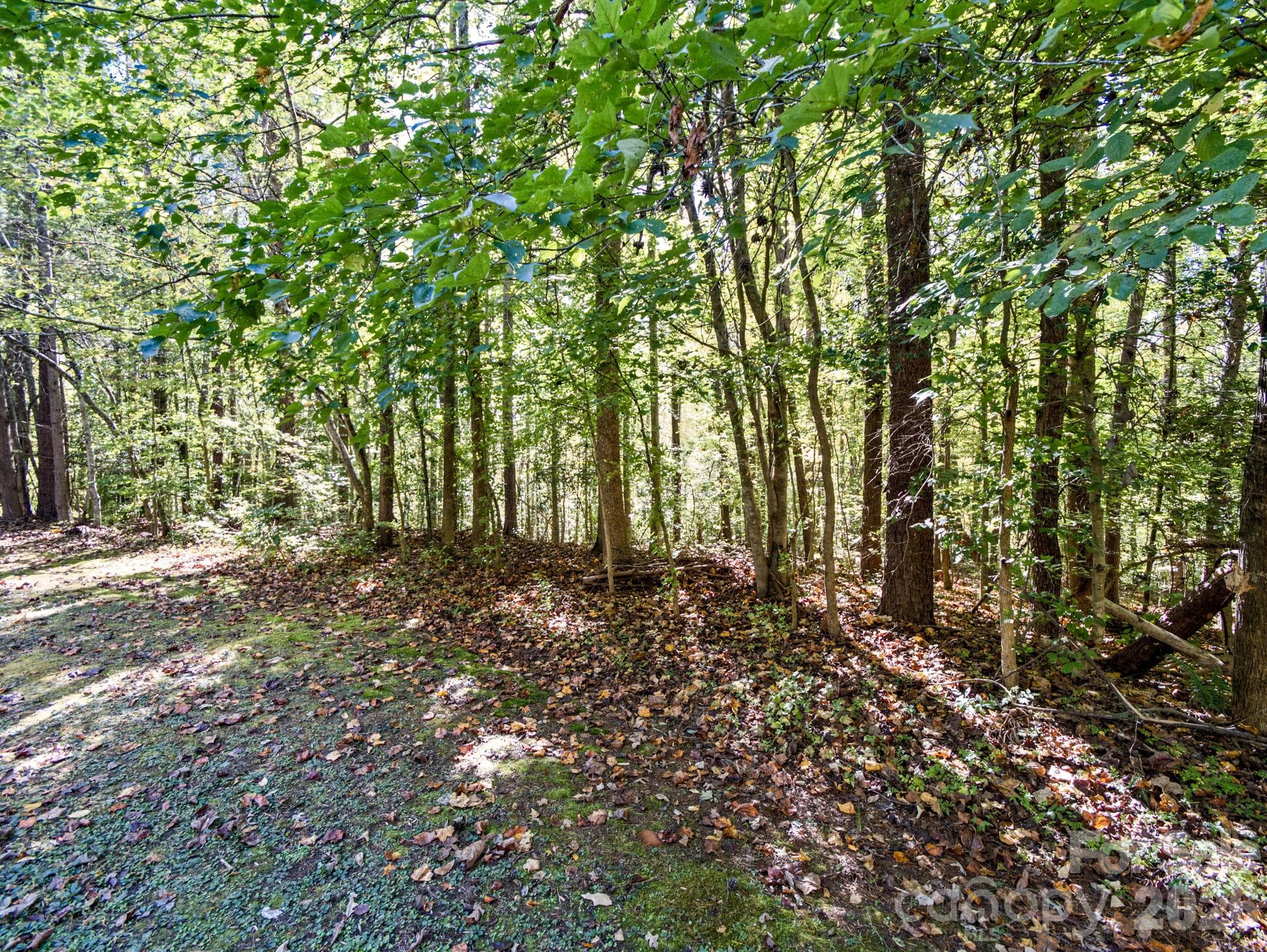 Lot at 000 Conifer Way, Shelby, photo 11 of 29