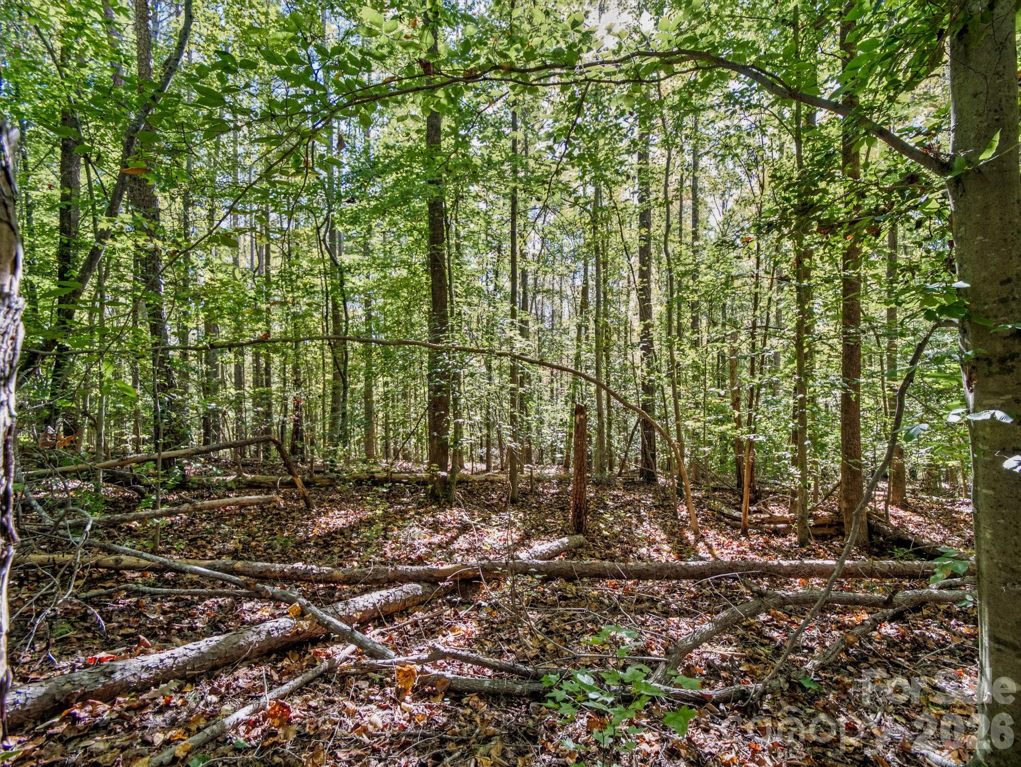 Lot at 000 Conifer Way, Shelby, photo 12 of 29