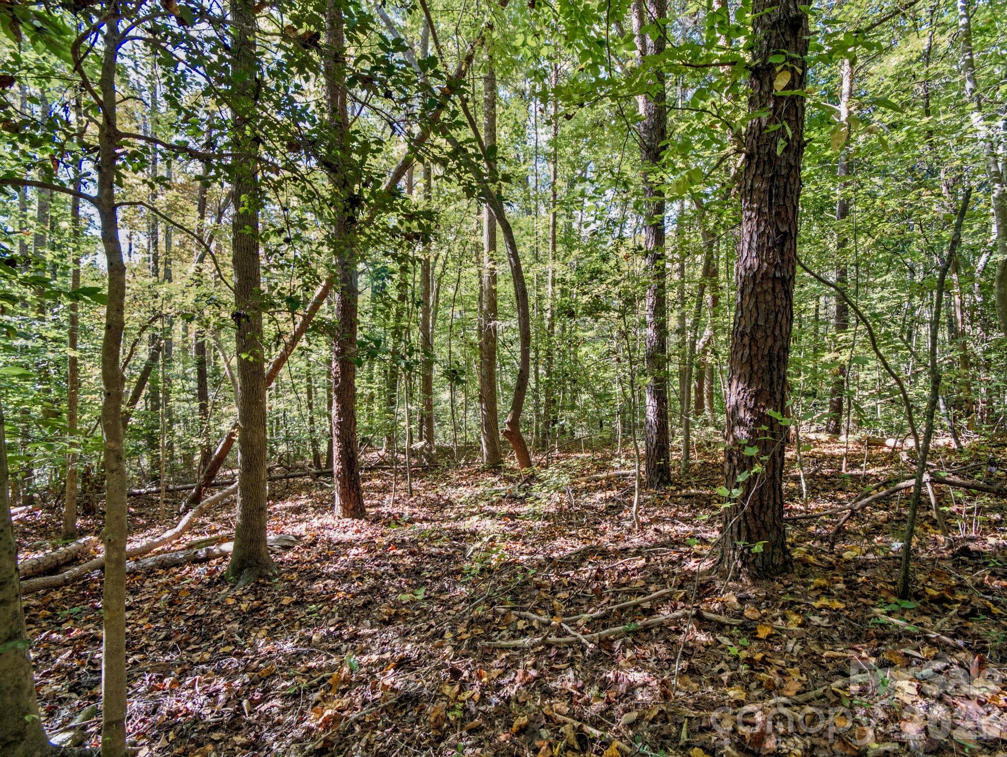 Lot at 000 Conifer Way, Shelby, photo 13 of 29
