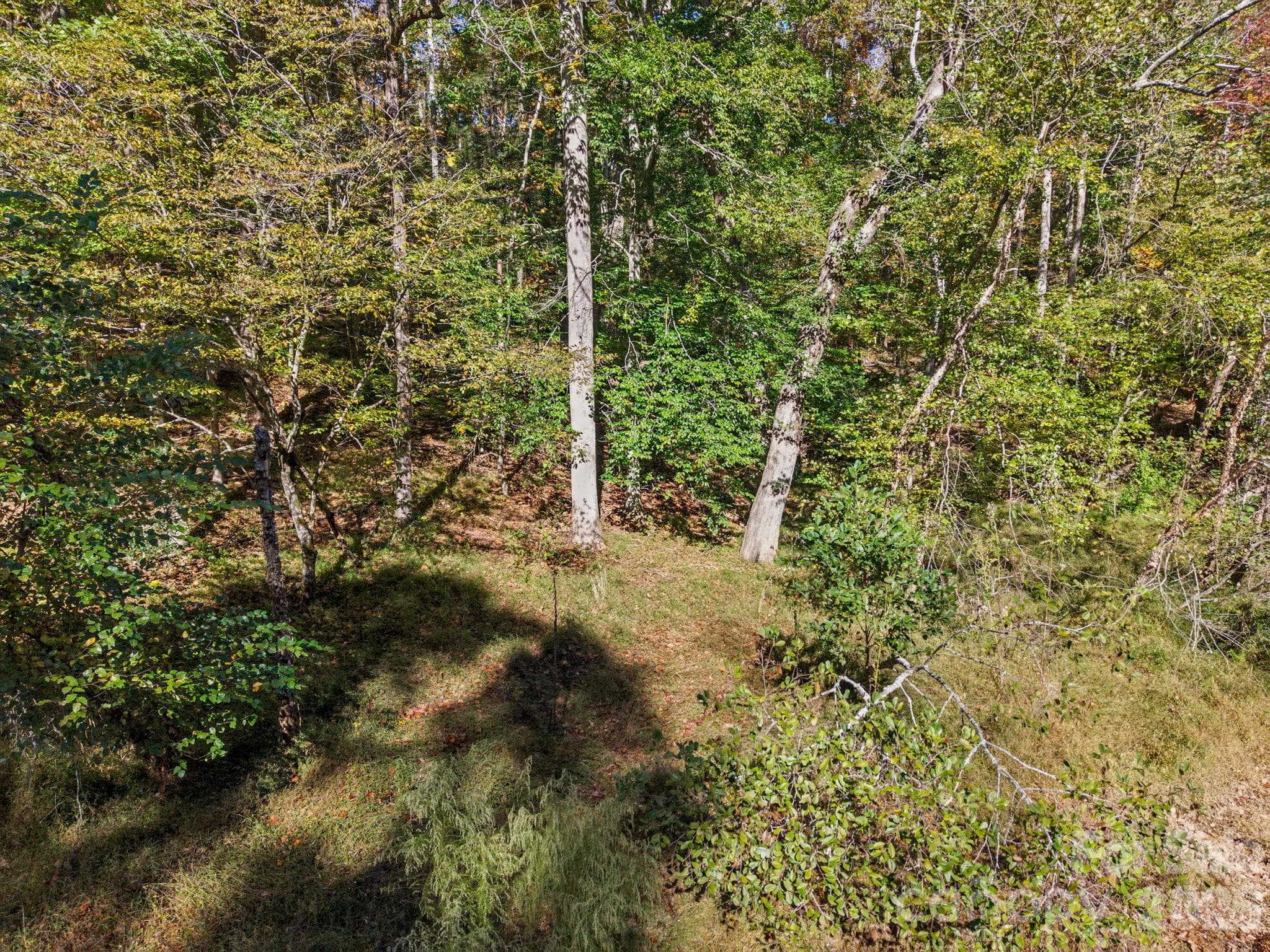Lot at 000 Conifer Way, Shelby, photo 17 of 29