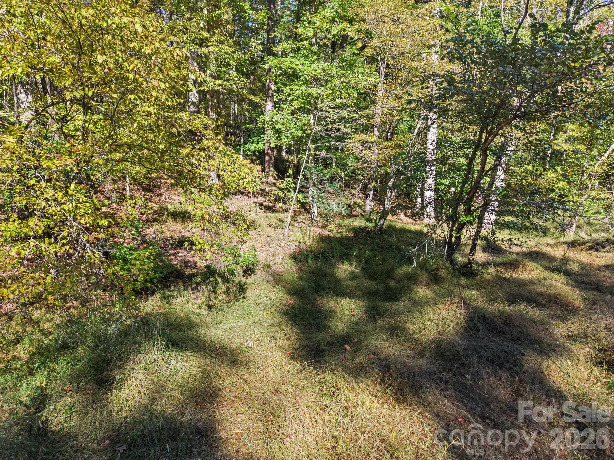 Lot at 000 Conifer Way, Shelby, photo 19 of 29