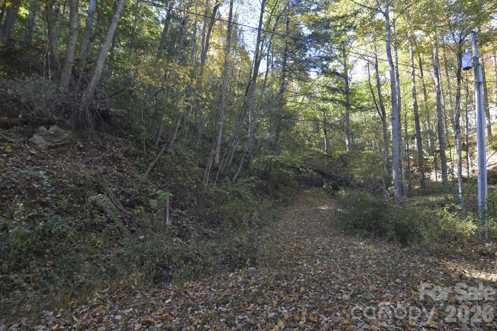 Driveway Entrance - 00 Bedford Road, Barnardsville