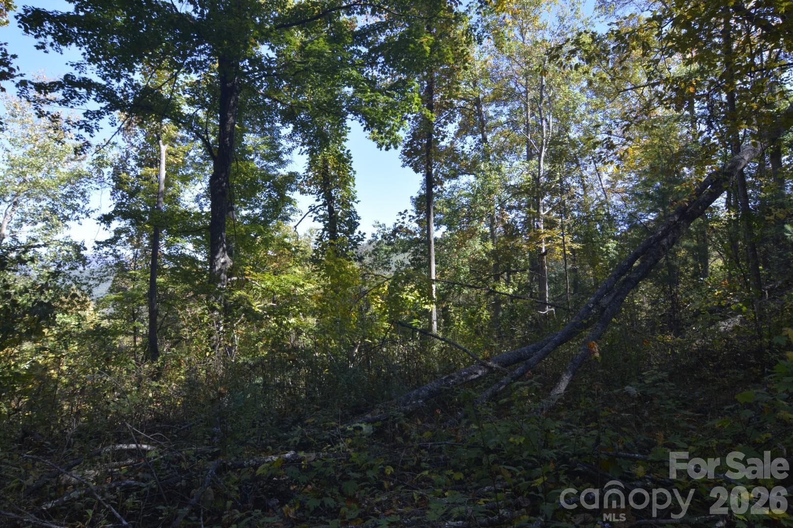 View at pad area - 00 Bedford Road, Barnardsville