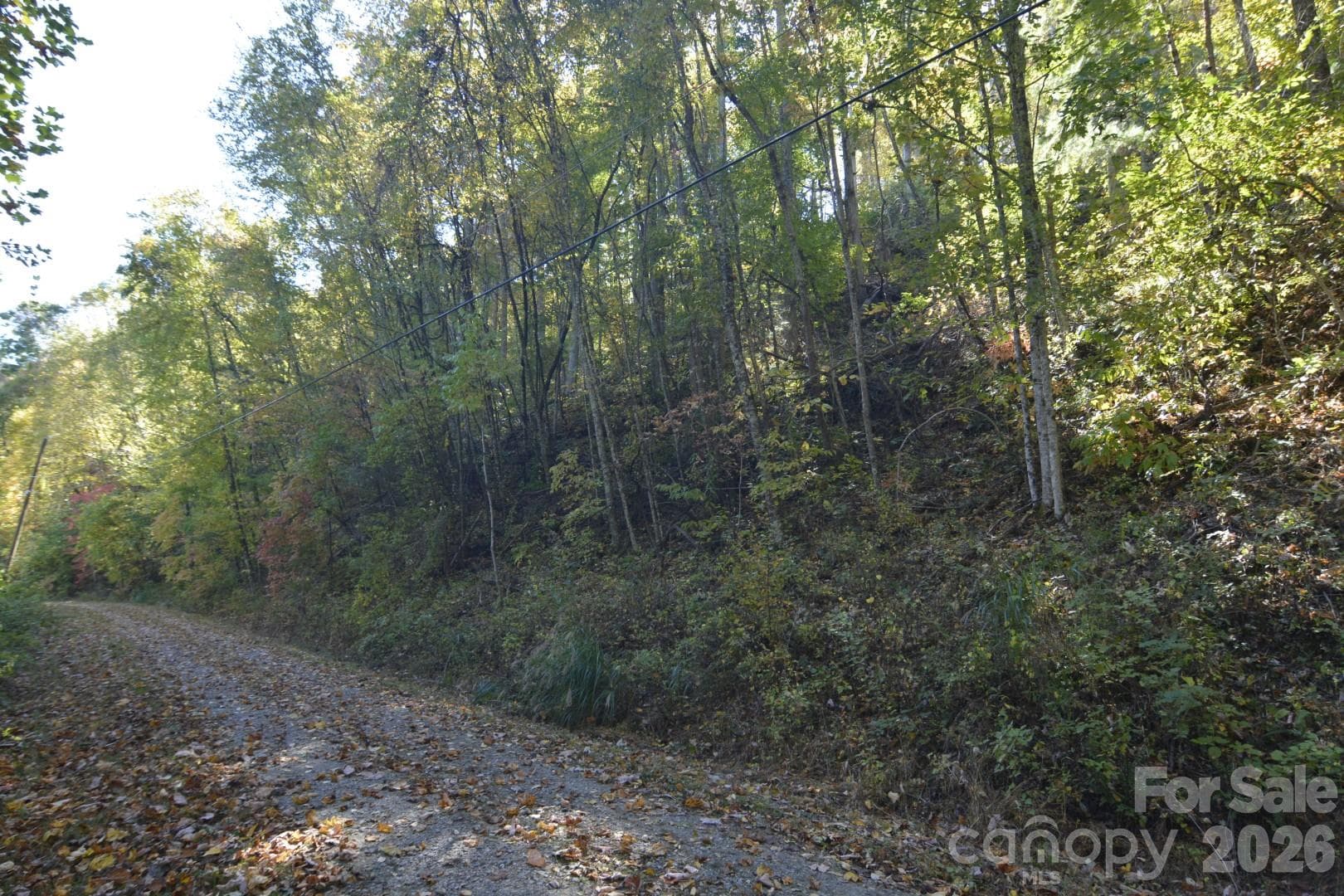 Lot at 00 Bedford Road, Barnardsville, photo 14 of 17