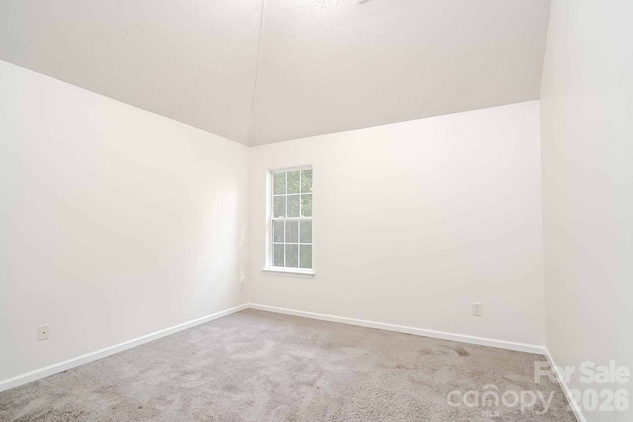 Single Family Residence at 5124 Eagle Creek Drive, Charlotte, photo 12 of 42