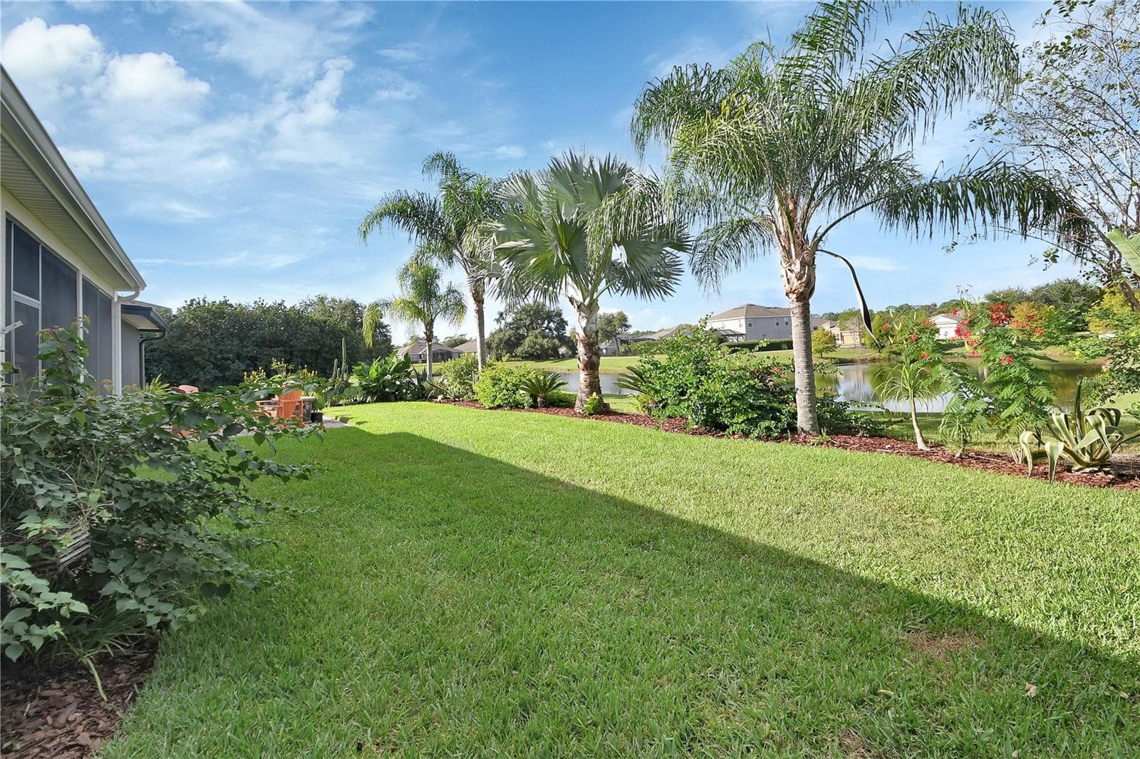 Palms and tropical landscaping - 126 MYRTLEBERRY LN, DELAND