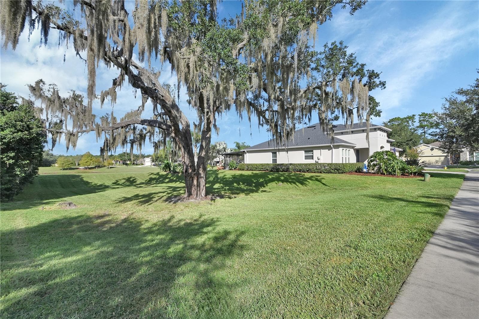 Conservation lot next to home - 126 MYRTLEBERRY LN, DELAND