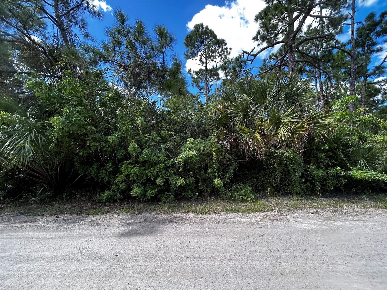 Land at 13252 SANTA MARIA DR, PUNTA GORDA, photo 2 of 13