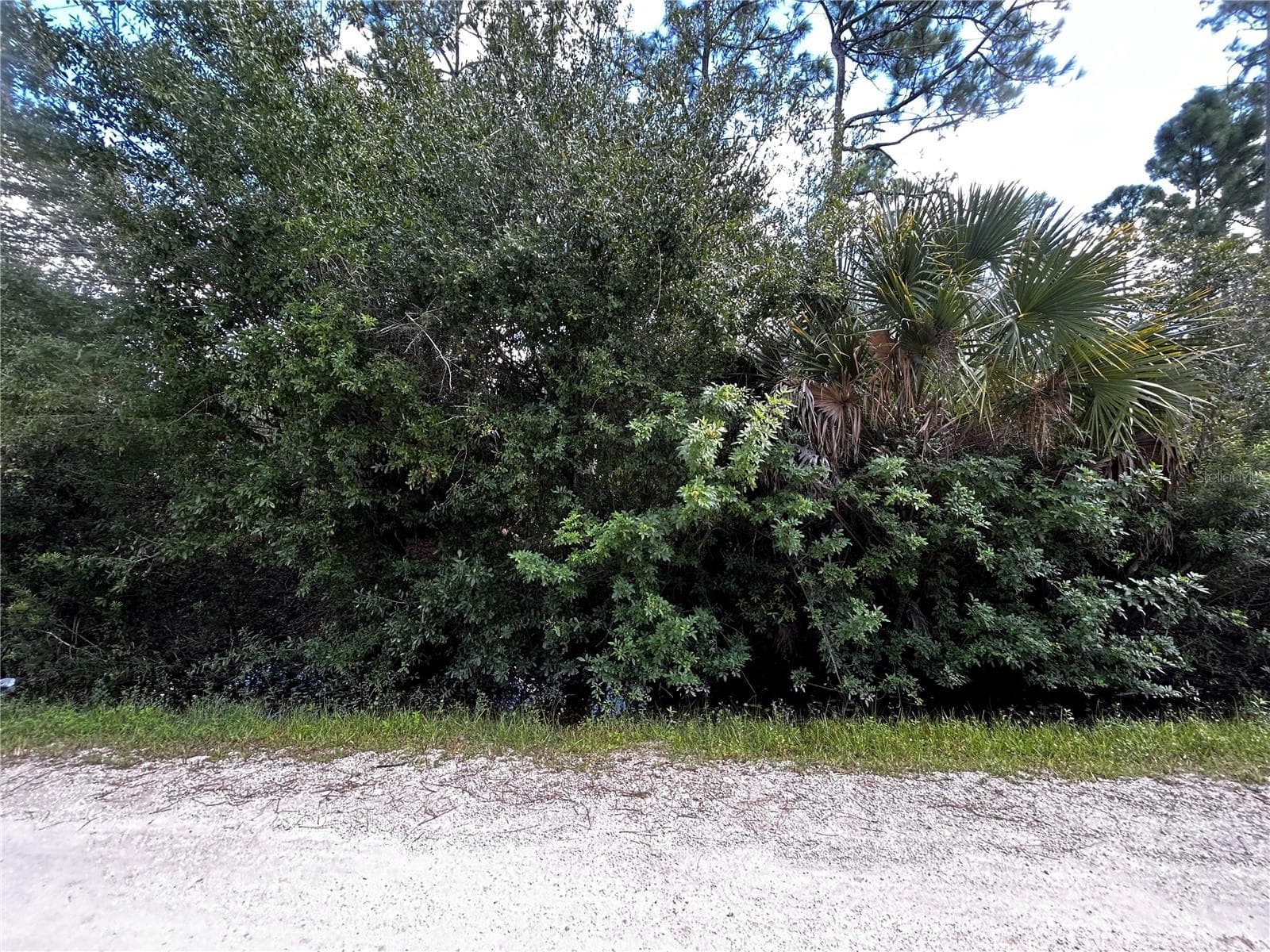 Land at 13252 SANTA MARIA DR, PUNTA GORDA, photo 3 of 13