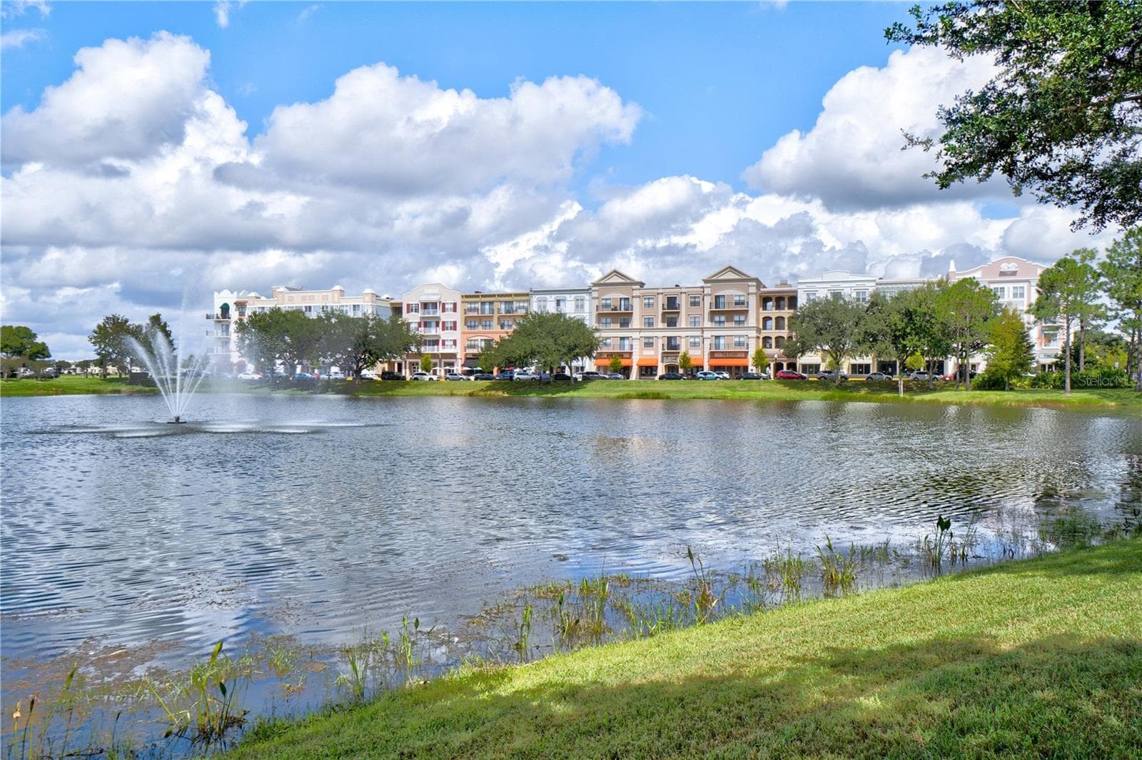 Single Family Residence at 14151 CHICORA CROSSING BLVD, ORLANDO, photo 57 of 60