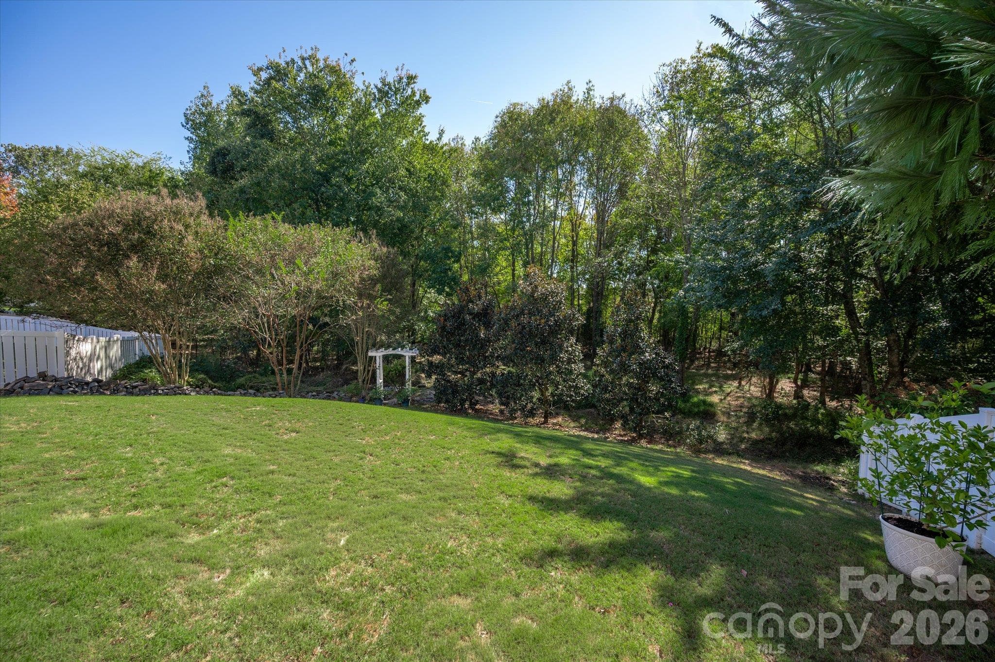 Private backyard - 6107 Cactus Valley Road, Charlotte