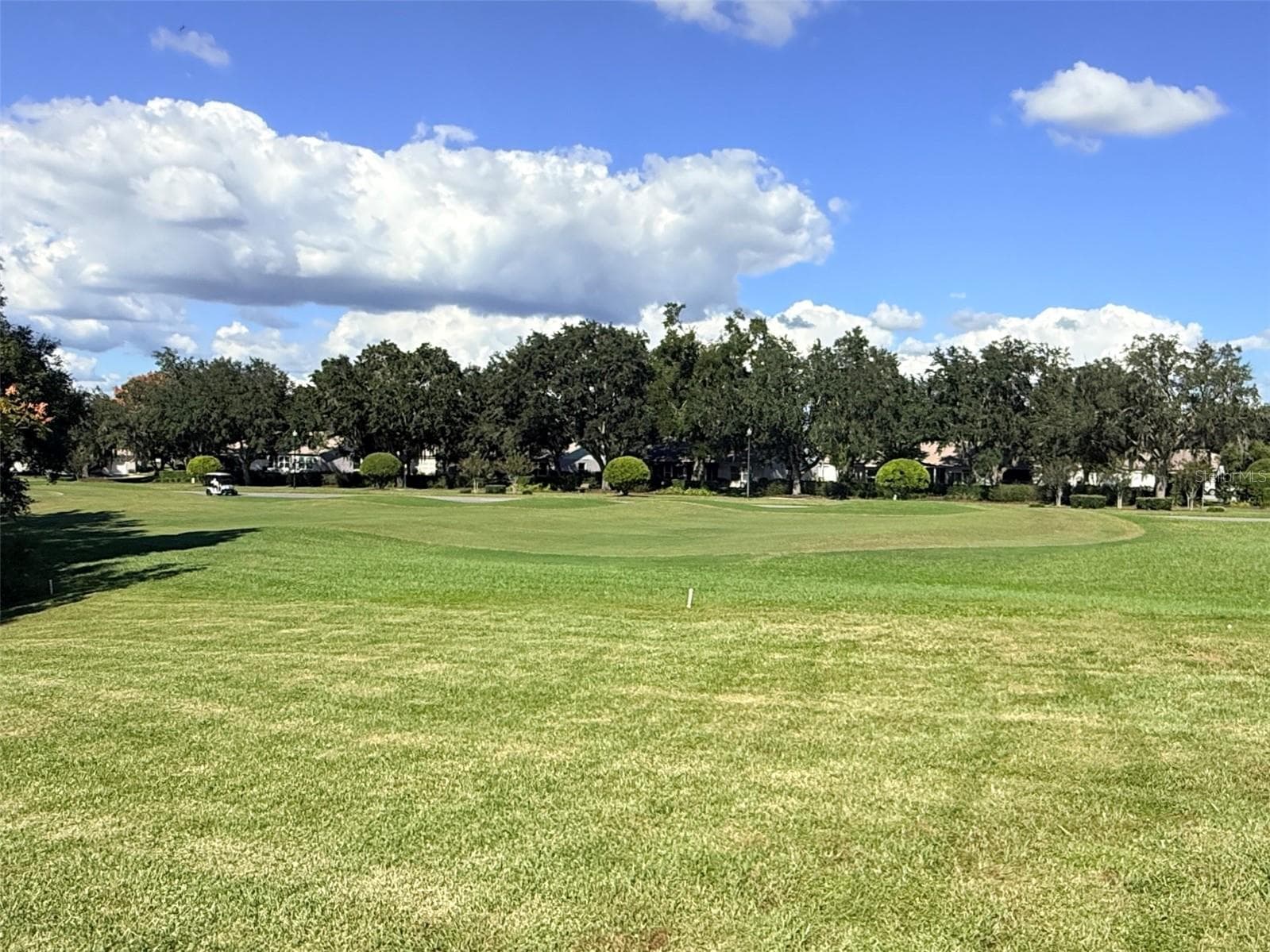 Another part of Golf Course. - 911 GRAND VISTA TRL, LEESBURG