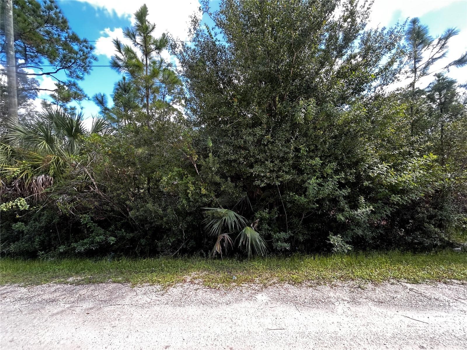 Land at 13258 SANTA MARIA DR, PUNTA GORDA, photo 3 of 13