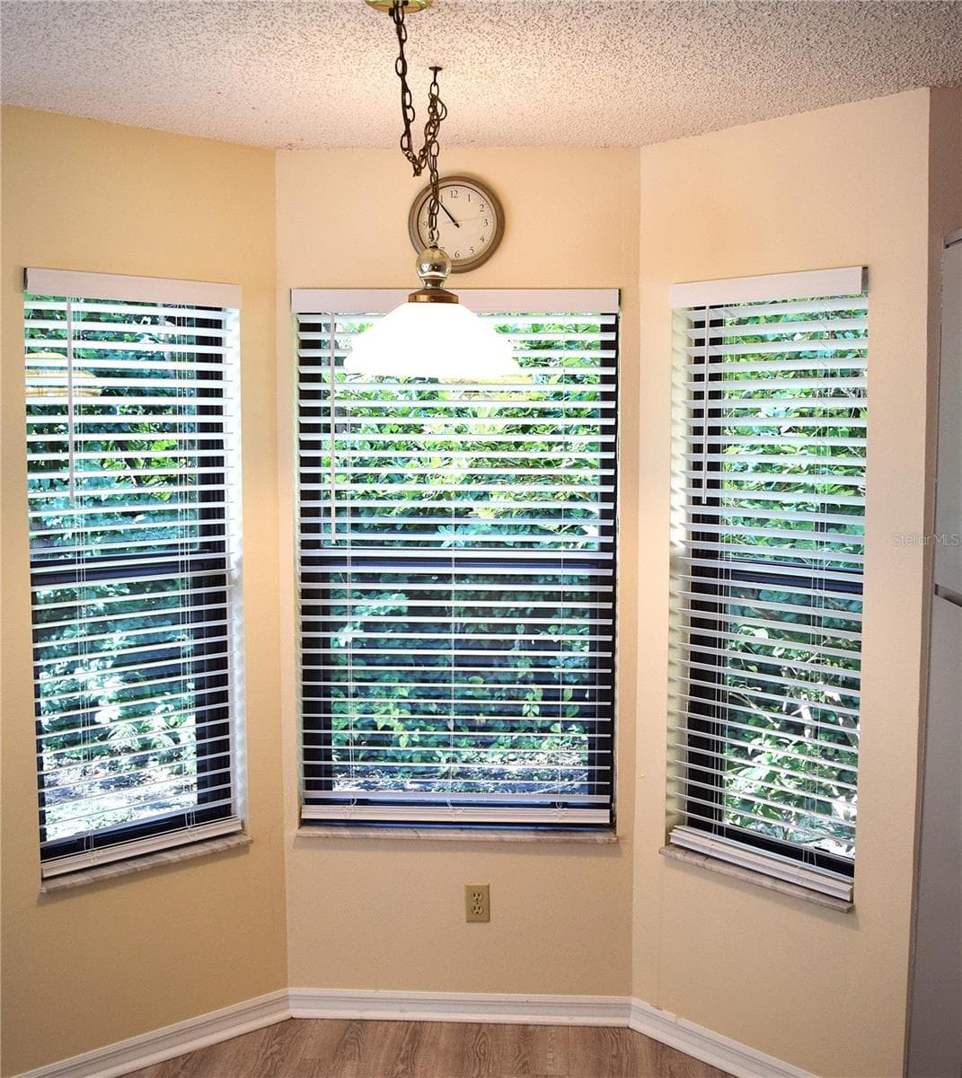 Single Family Residence at 450 CASCADE LN, PALM HARBOR, photo 11 of 24