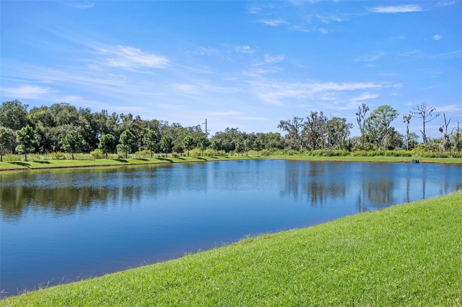 Single Family Residence at 9961 CROSS RIVER TRL, PARRISH, photo 5 of 63