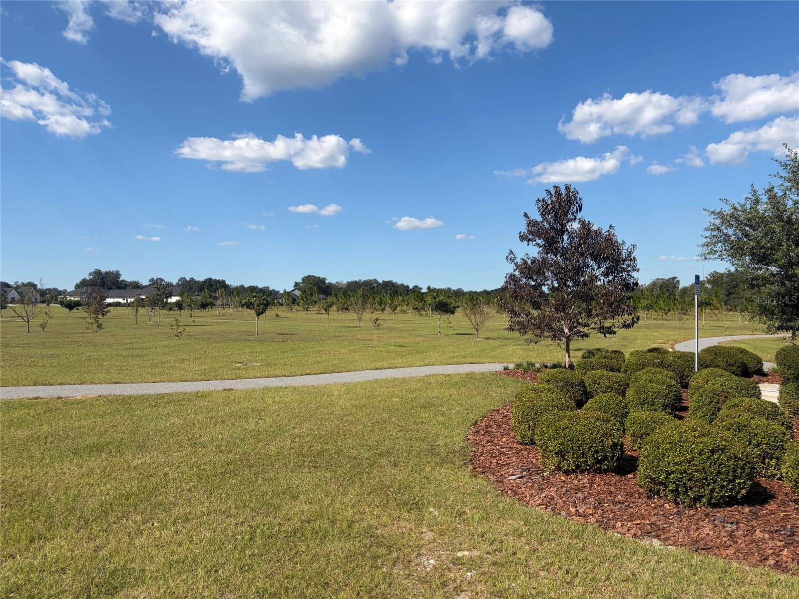 Conservation area - 5890 SW 124TH WAY, ARCHER