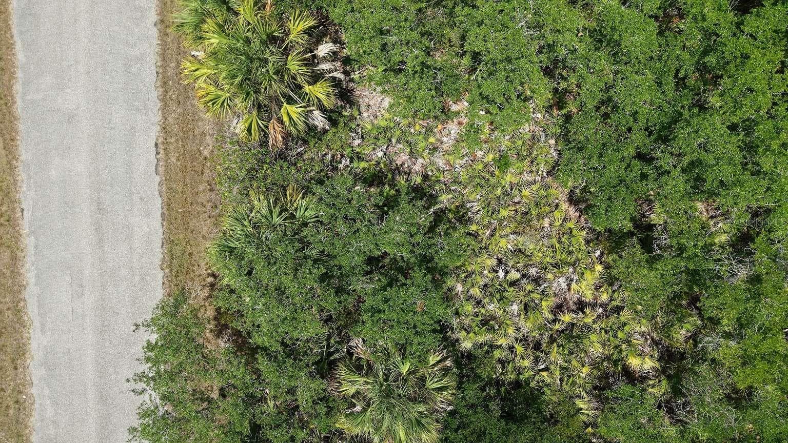 Land at 14208 CAMERON AVE, PORT CHARLOTTE, photo 2 of 3