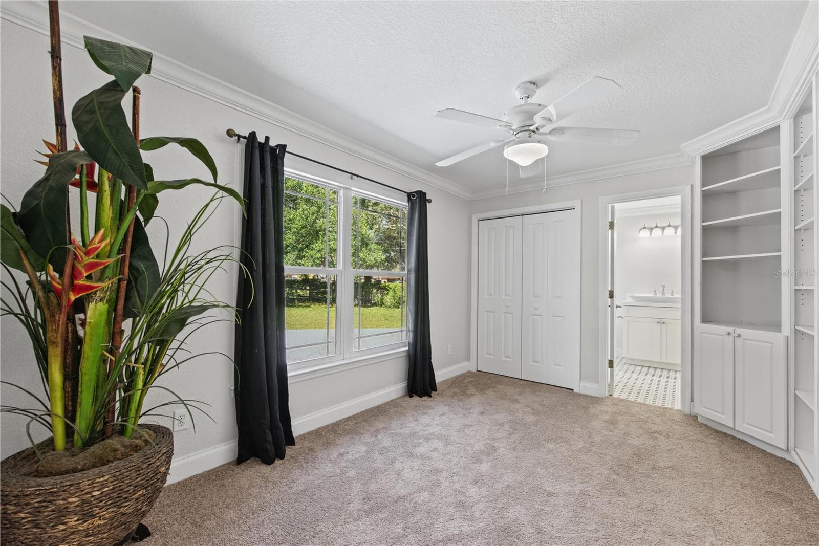 Bedroom 2 (1) - 1817 N KEENE RD, CLEARWATER