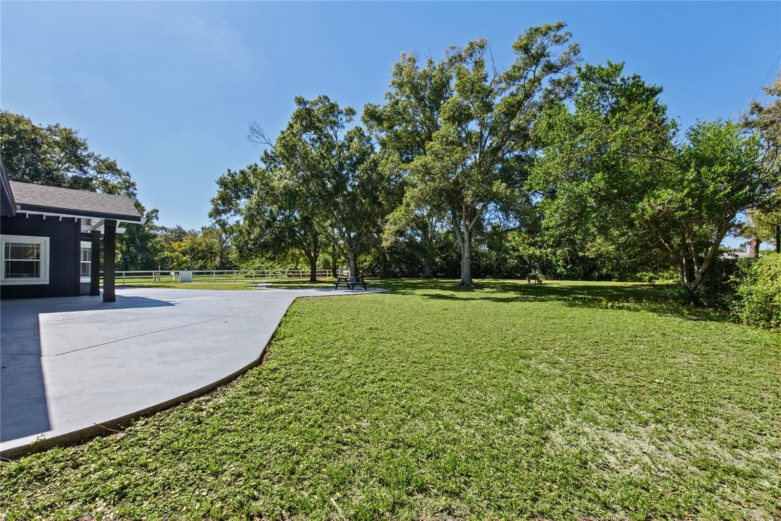 Front yard (4) - 1817 N KEENE RD, CLEARWATER