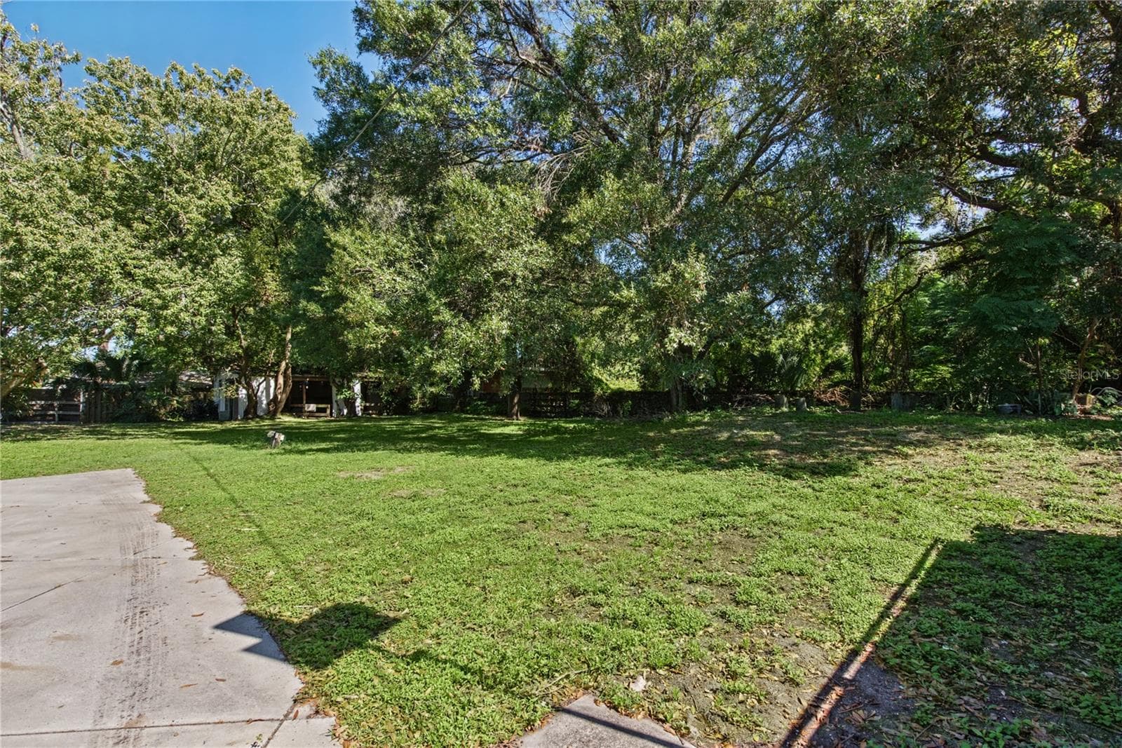 Backyard (2) - 1817 N KEENE RD, CLEARWATER