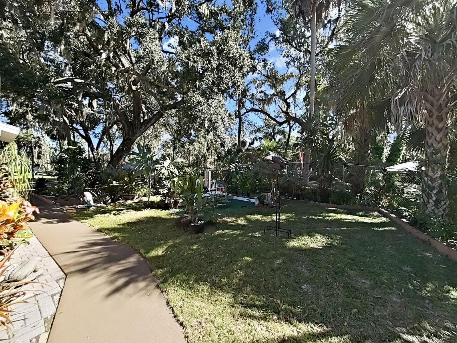 Yard - 4218 ALAFIA BLVD, BRANDON