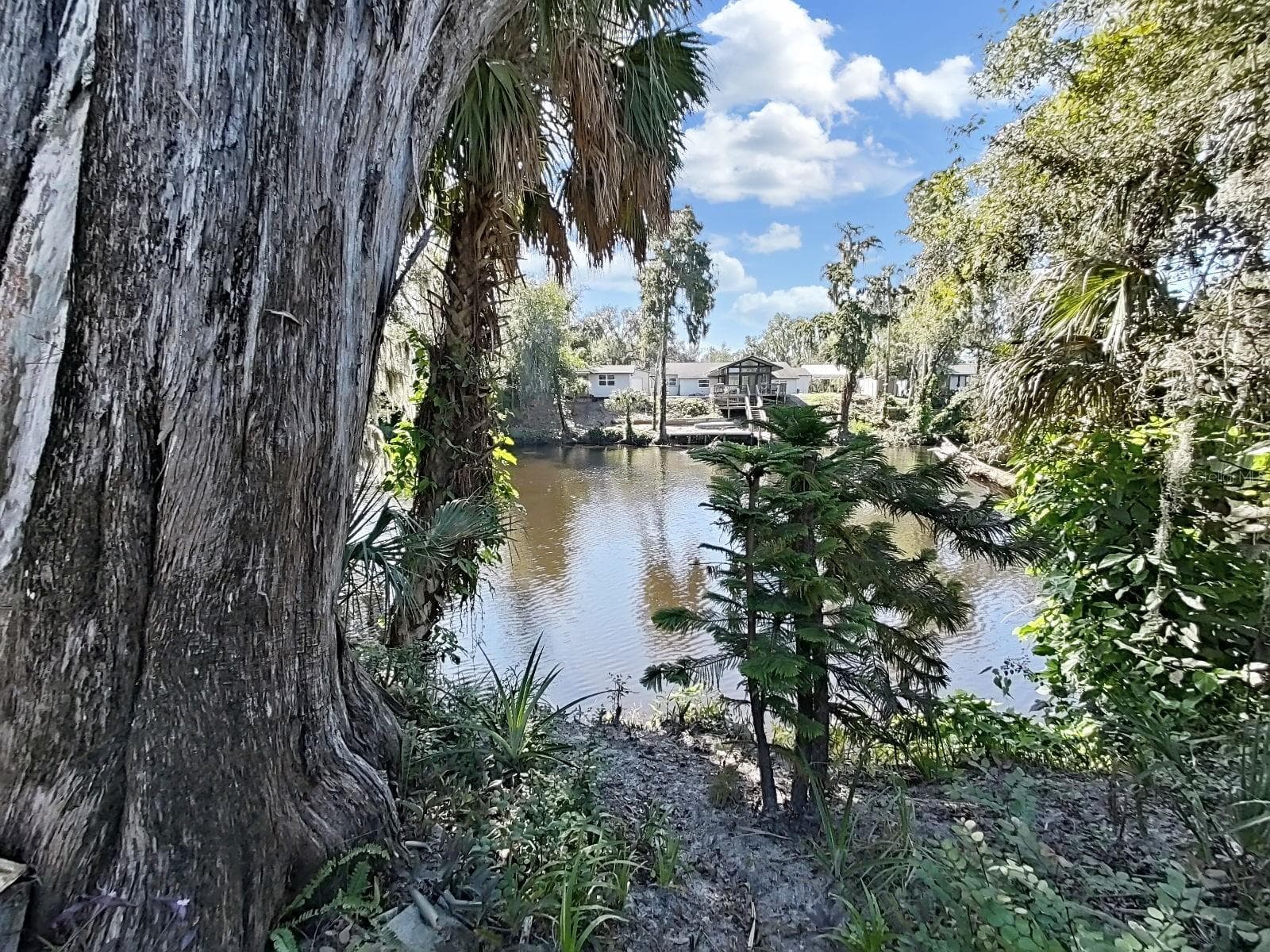 View from Yard - 4218 ALAFIA BLVD, BRANDON