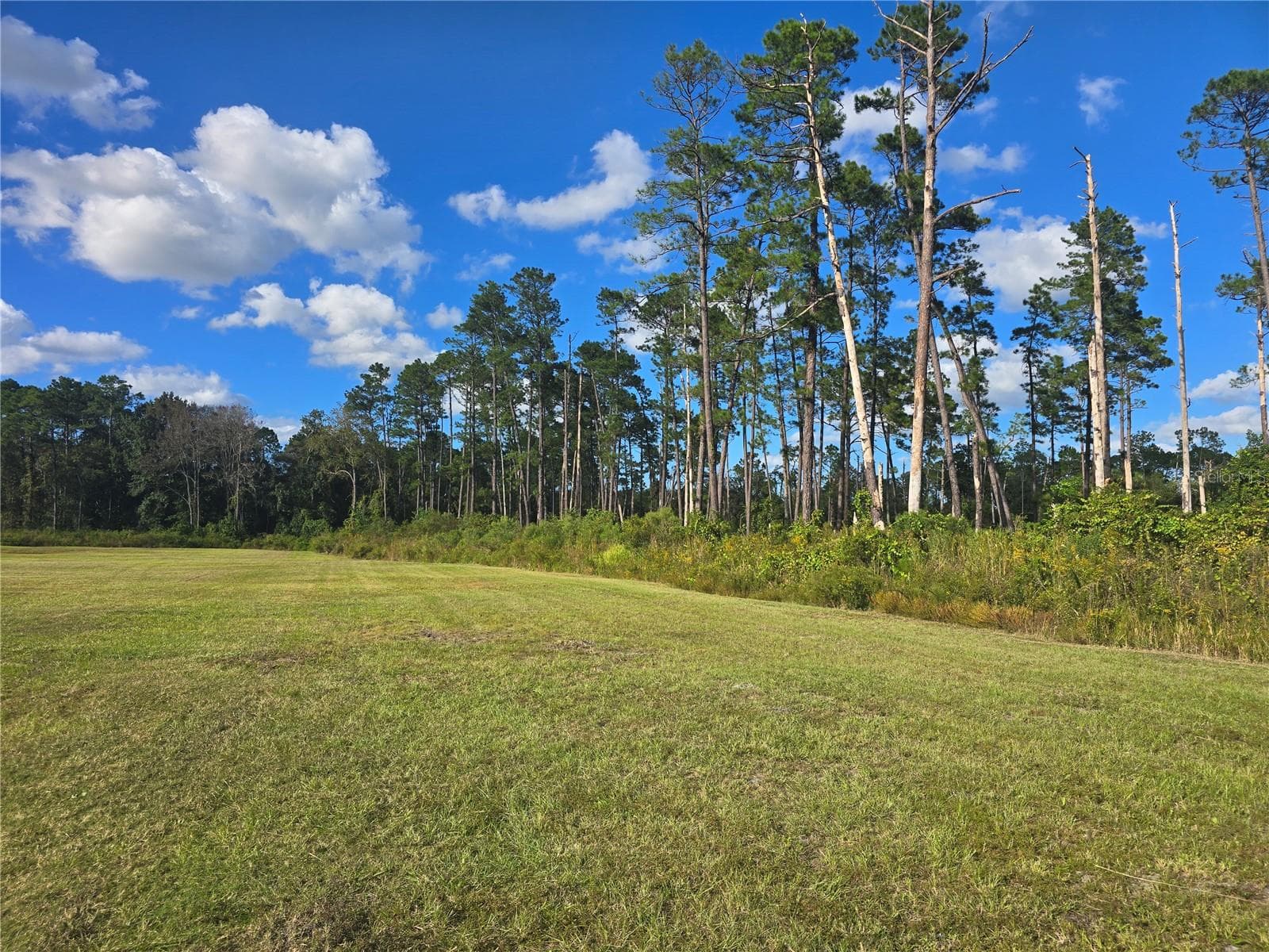 Right Side of Property - 160 W HAGSTROM RD, PIERSON