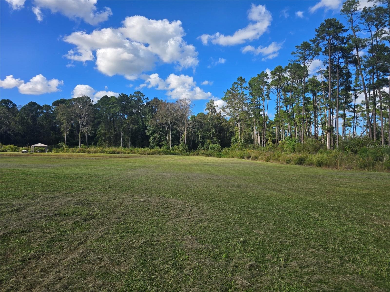 Front Right of Property - 160 W HAGSTROM RD, PIERSON