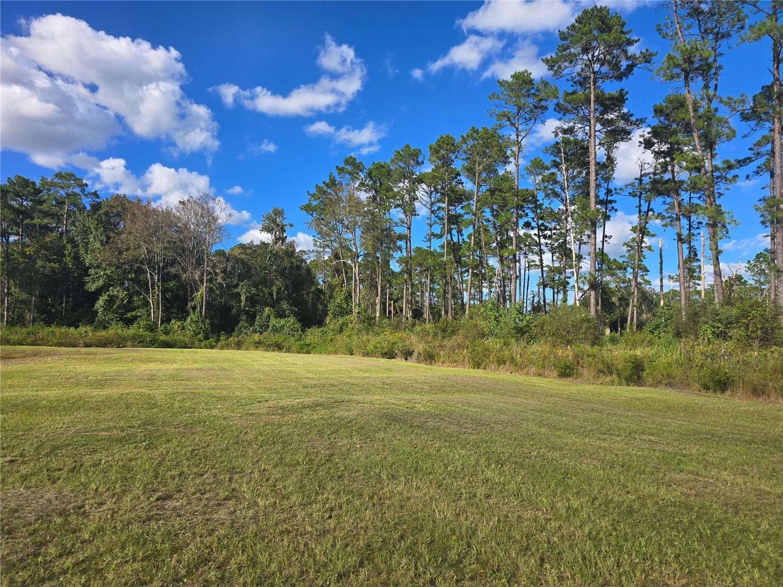 Right Rear of Property - 160 W HAGSTROM RD, PIERSON
