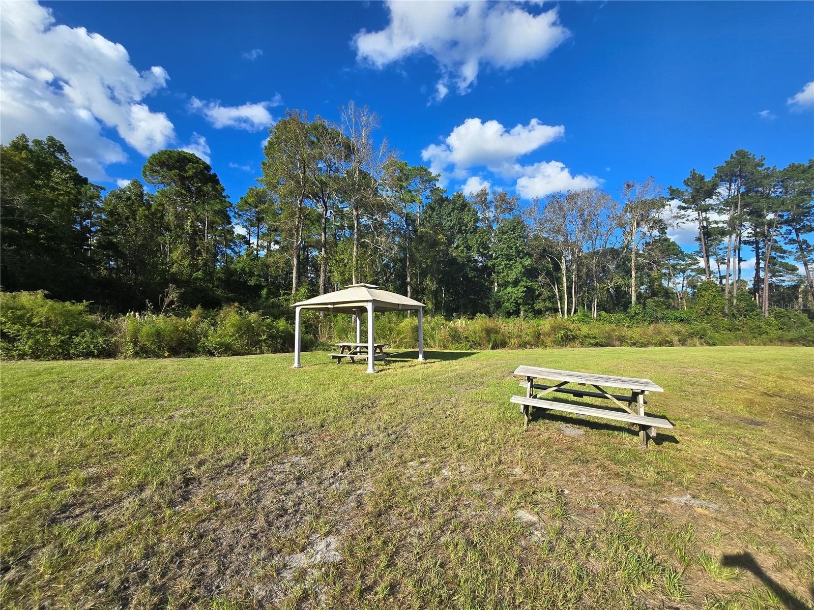 Rear of Property/Pond - 160 W HAGSTROM RD, PIERSON