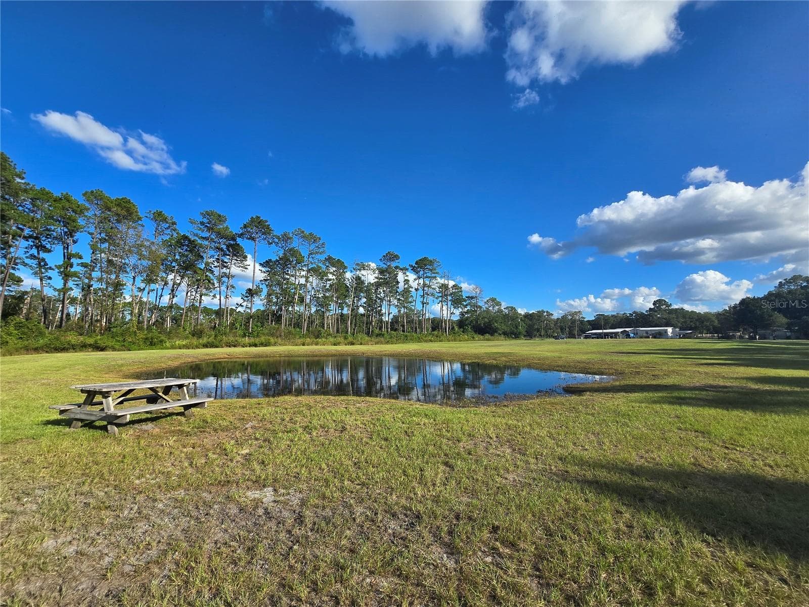 Rear of Property - 160 W HAGSTROM RD, PIERSON