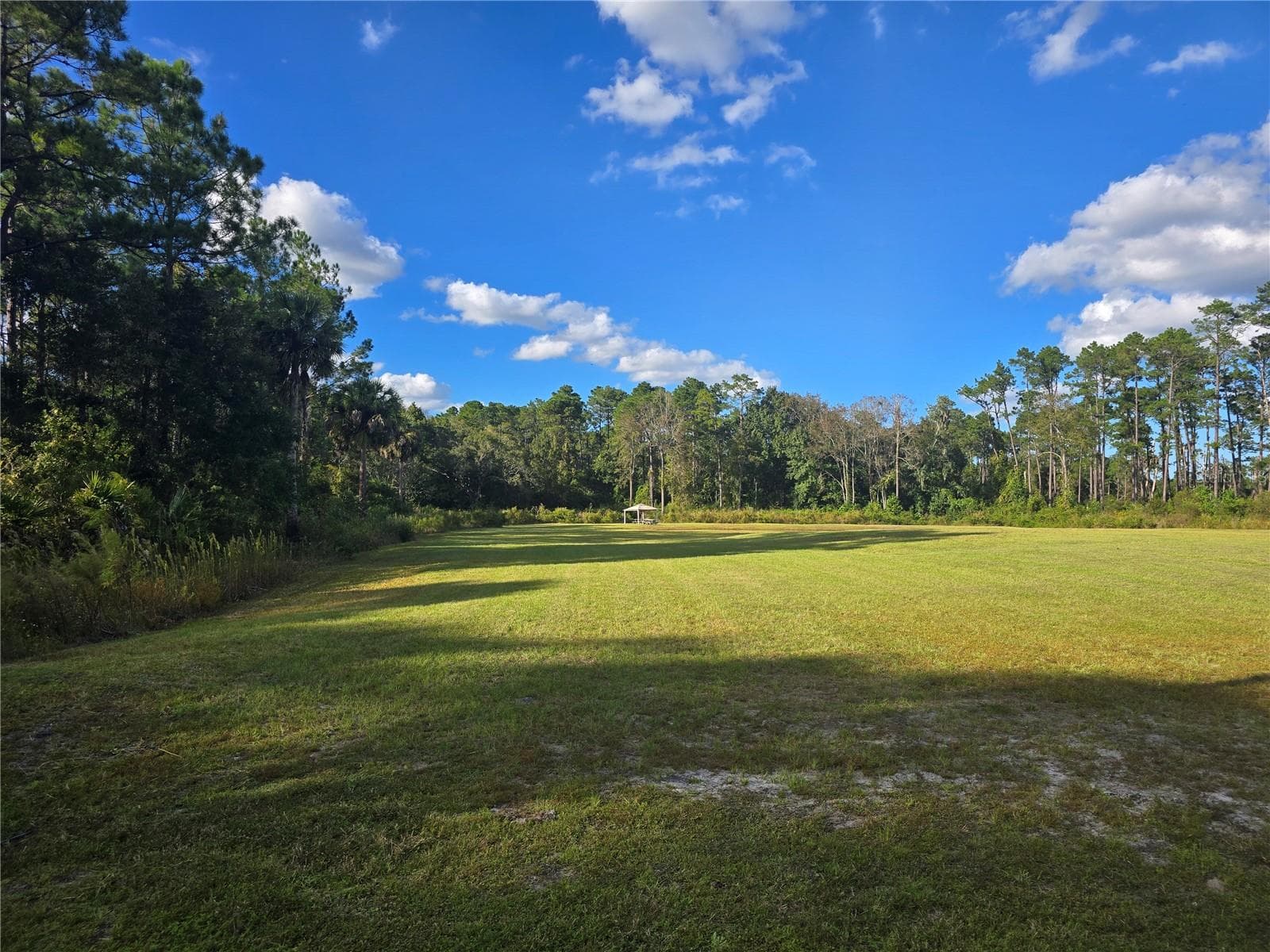 Left Front Side Property - 160 W HAGSTROM RD, PIERSON
